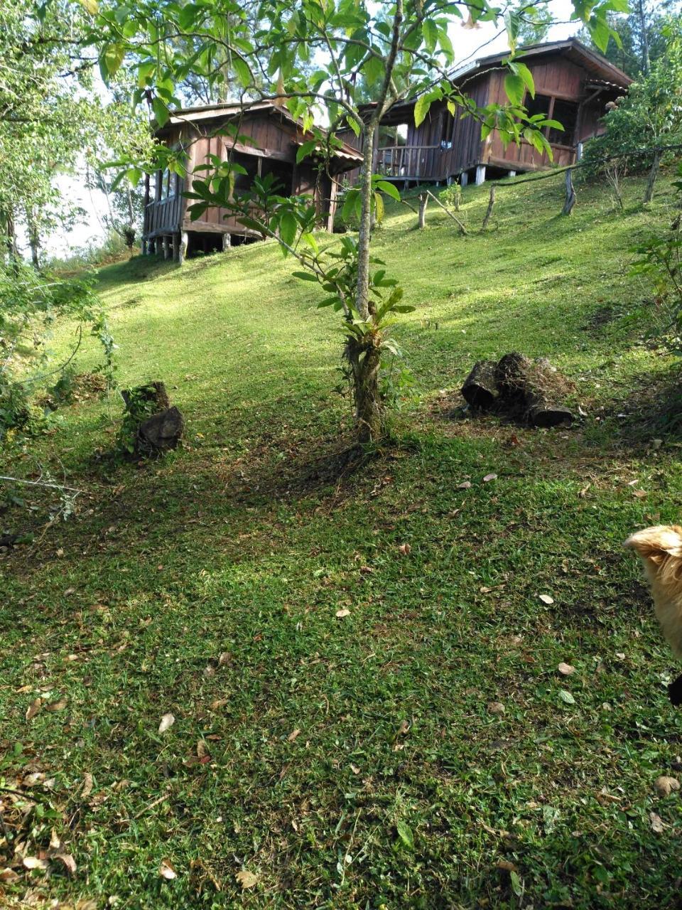 Cabanas Don Camilo Albergue De Montana Cabecera de Canas Dış mekan fotoğraf